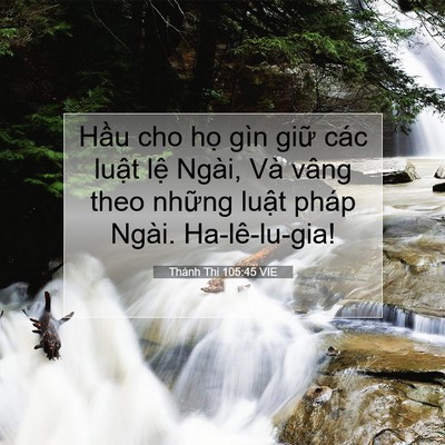 Picture 07 - Thánh Thi 105:45 VIE - Hầu cho họ gìn giữ các luật lệ Ngài, - Bible Verse Picture