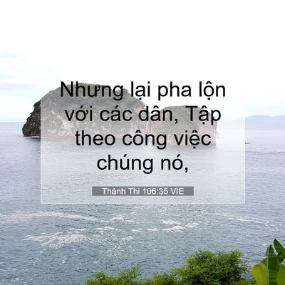 Picture 07 - Thánh Thi 106:35 VIE - Nhưng lại pha lộn với các dân, Tập - Bible Verse Picture