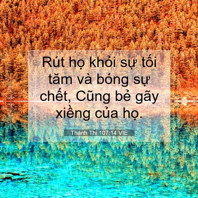 Picture 07 - Thánh Thi 107:14 VIE - Rút họ khỏi sự tối tăm và bóng sự - Bible Verse Picture
