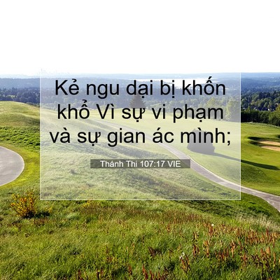 Picture 07 - Thánh Thi 107:17 VIE - Kẻ ngu dại bị khốn khổ Vì sự vi - Bible Verse Picture