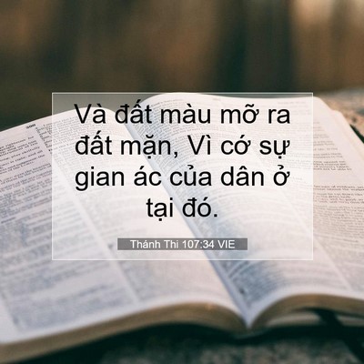 Picture 07 - Thánh Thi 107:34 VIE - Và đất màu mỡ ra đất mặn, Vì cớ - Bible Verse Picture