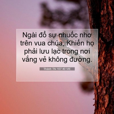 Picture 07 - Thánh Thi 107:40 VIE - Ngài đổ sự nhuốc nhơ trên vua chúa, - Bible Verse Picture
