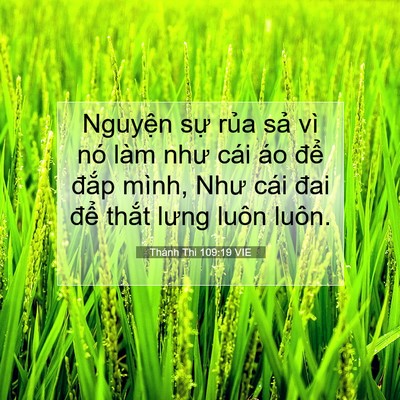 Picture 07 - Thánh Thi 109:19 VIE - Nguyện sự rủa sả vì nó làm như cái - Bible Verse Picture
