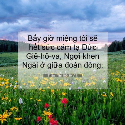 Picture 07 - Thánh Thi 109:30 VIE - Bấy giờ miệng tôi sẽ hết sức cảm - Bible Verse Picture
