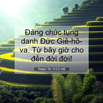 Picture 07 - Thánh Thi 113:2 VIE - Đáng chúc tụng danh Đức Giê-hô-va. Từ - Bible Verse Picture