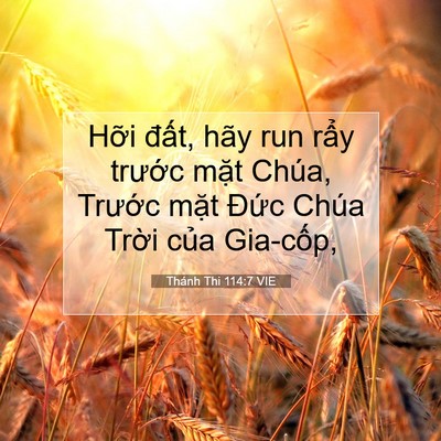 Picture 07 - Thánh Thi 114:7 VIE - Hỡi đất, hãy run rẩy trước mặt - Bible Verse Picture