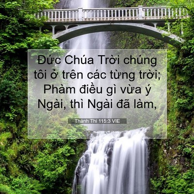 Picture 07 - Thánh Thi 115:3 VIE - Đức Chúa Trời chúng tôi ở trên các - Bible Verse Picture