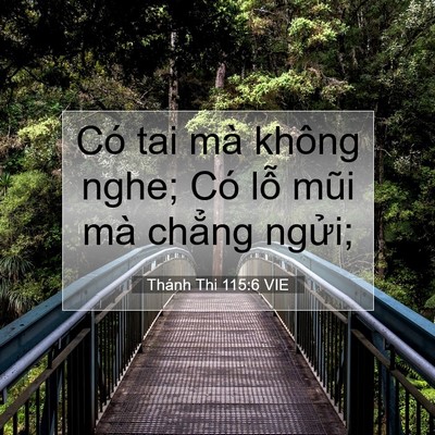 Picture 07 - Thánh Thi 115:6 VIE - Có tai mà không nghe; Có lỗ mũi mà - Bible Verse Picture