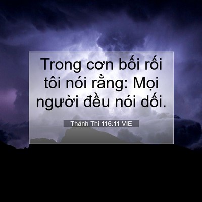 Picture 07 - Thánh Thi 116:11 VIE - Trong cơn bối rối tôi nói rằng: Mọi - Bible Verse Picture