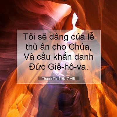 Picture 07 - Thánh Thi 116:17 VIE - Tôi sẽ dâng của lễ thù ân cho Chúa, - Bible Verse Picture
