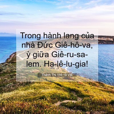 Picture 07 - Thánh Thi 116:19 VIE - Trong hành lang của nhà Đức Giê-hô-va, - Bible Verse Picture
