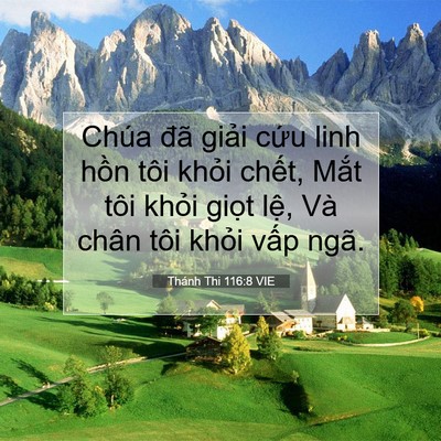 Picture 07 - Thánh Thi 116:8 VIE - Chúa đã giải cứu linh hồn tôi khỏi - Bible Verse Picture