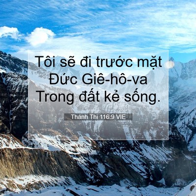 Picture 07 - Thánh Thi 116:9 VIE - Tôi sẽ đi trước mặt Đức Giê-hô-va - Bible Verse Picture