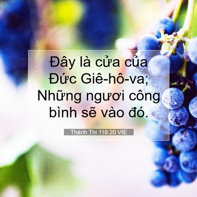 Picture 07 - Thánh Thi 118:20 VIE - Đây là cửa của Đức Giê-hô-va; Những - Bible Verse Picture