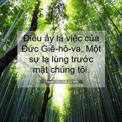 Picture 07 - Thánh Thi 118:23 VIE - Điều ấy là việc của Đức Giê-hô-va, - Bible Verse Picture