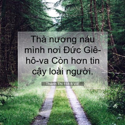 Picture 07 - Thánh Thi 118:8 VIE - Thà nương náu mình nơi Đức Giê-hô-va - Bible Verse Picture
