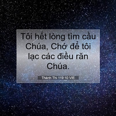 Picture 07 - Thánh Thi 119:10 VIE - Tôi hết lòng tìm cầu Chúa, Chớ để - Bible Verse Picture
