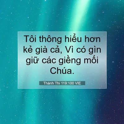 Picture 07 - Thánh Thi 119:100 VIE - Tôi thông hiểu hơn kẻ già cả, Vì có - Bible Verse Picture