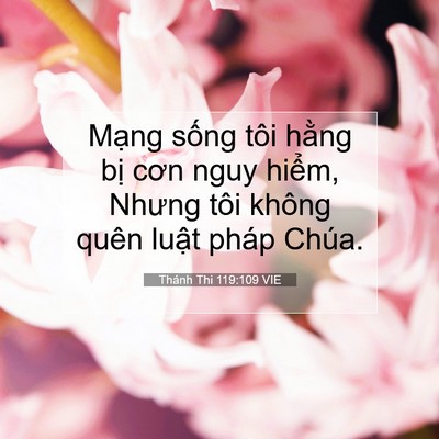 Picture 07 - Thánh Thi 119:109 VIE - Mạng sống tôi hằng bị cơn nguy hiểm, - Bible Verse Picture