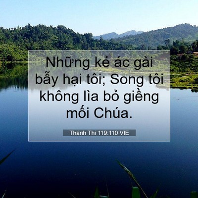 Picture 07 - Thánh Thi 119:110 VIE - Những kẻ ác gài bẫy hại tôi; Song tôi - Bible Verse Picture