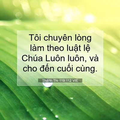 Picture 07 - Thánh Thi 119:112 VIE - Tôi chuyên lòng làm theo luật lệ Chúa - Bible Verse Picture