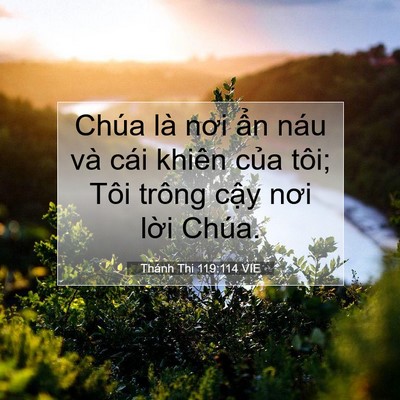 Picture 07 - Thánh Thi 119:114 VIE - Chúa là nơi ẩn náu và cái khiên của - Bible Verse Picture