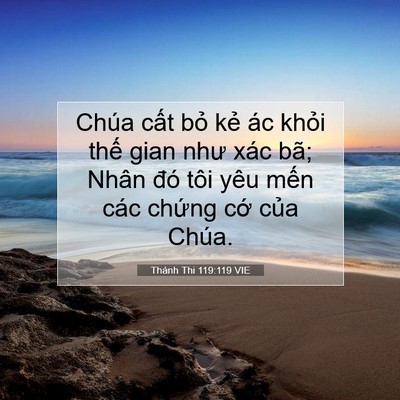 Picture 07 - Thánh Thi 119:119 VIE - Chúa cất bỏ kẻ ác khỏi thế gian như - Bible Verse Picture