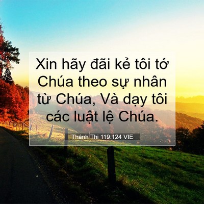 Picture 07 - Thánh Thi 119:124 VIE - Xin hãy đãi kẻ tôi tớ Chúa theo sự - Bible Verse Picture