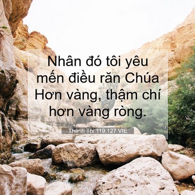 Picture 07 - Thánh Thi 119:127 VIE - Nhân đó tôi yêu mến điều răn Chúa - Bible Verse Picture