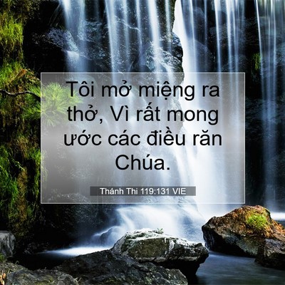Picture 07 - Thánh Thi 119:131 VIE - Tôi mở miệng ra thở, Vì rất mong ước - Bible Verse Picture