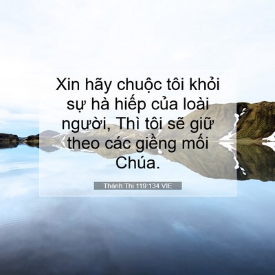 Picture 07 - Thánh Thi 119:134 VIE - Xin hãy chuộc tôi khỏi sự hà hiếp - Bible Verse Picture