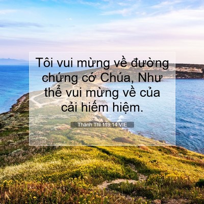 Picture 07 - Thánh Thi 119:14 VIE - Tôi vui mừng về đường chứng cớ - Bible Verse Picture