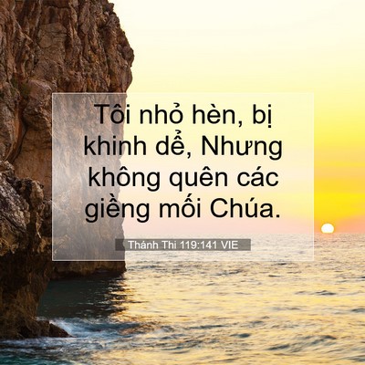 Picture 07 - Thánh Thi 119:141 VIE - Tôi nhỏ hèn, bị khinh dể, Nhưng không - Bible Verse Picture