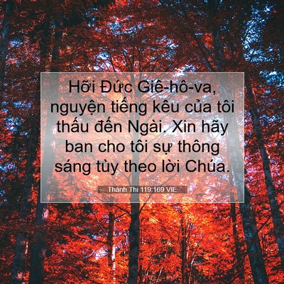 Picture 07 - Thánh Thi 119:169 VIE - Hỡi Đức Giê-hô-va, nguyện tiếng kêu - Bible Verse Picture