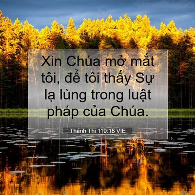 Picture 07 - Thánh Thi 119:18 VIE - Xin Chúa mở mắt tôi, để tôi thấy Sự - Bible Verse Picture