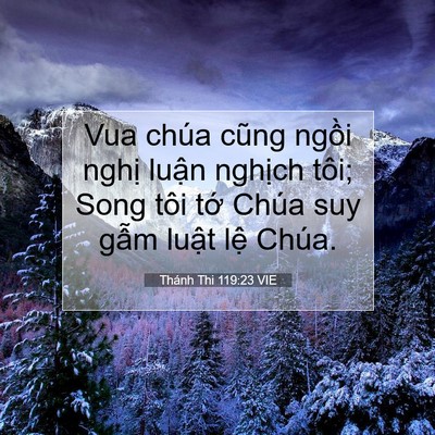 Picture 07 - Thánh Thi 119:23 VIE - Vua chúa cũng ngồi nghị luận nghịch - Bible Verse Picture