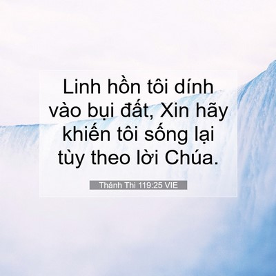 Picture 07 - Thánh Thi 119:25 VIE - Linh hồn tôi dính vào bụi đất, Xin hãy - Bible Verse Picture