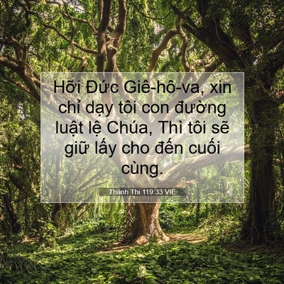 Picture 07 - Thánh Thi 119:33 VIE - Hỡi Đức Giê-hô-va, xin chỉ dạy tôi - Bible Verse Picture