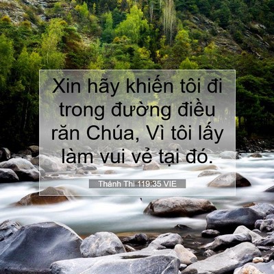 Picture 07 - Thánh Thi 119:35 VIE - Xin hãy khiến tôi đi trong đường điều - Bible Verse Picture