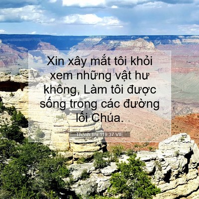 Picture 07 - Thánh Thi 119:37 VIE - Xin xây mắt tôi khỏi xem những vật hư - Bible Verse Picture
