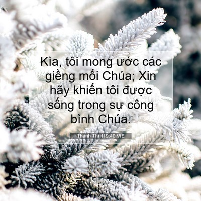Picture 07 - Thánh Thi 119:40 VIE - Kìa, tôi mong ước các giềng mối Chúa; - Bible Verse Picture