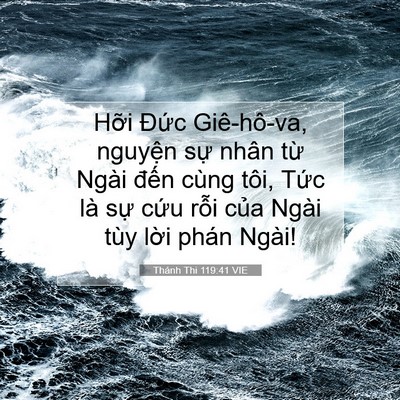 Picture 07 - Thánh Thi 119:41 VIE - Hỡi Đức Giê-hô-va, nguyện sự nhân - Bible Verse Picture