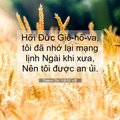 Picture 07 - Thánh Thi 119:52 VIE - Hỡi Đức Giê-hô-va, tôi đã nhớ lại - Bible Verse Picture