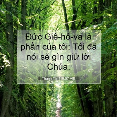 Picture 07 - Thánh Thi 119:57 VIE - Đức Giê-hô-va là phần của tôi: Tôi - Bible Verse Picture