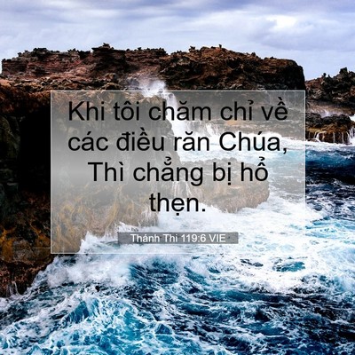 Picture 07 - Thánh Thi 119:6 VIE - Khi tôi chăm chỉ về các điều răn - Bible Verse Picture