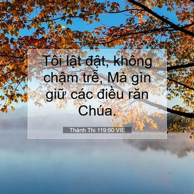 Picture 07 - Thánh Thi 119:60 VIE - Tôi lật đật, không chậm trễ, Mà gìn - Bible Verse Picture