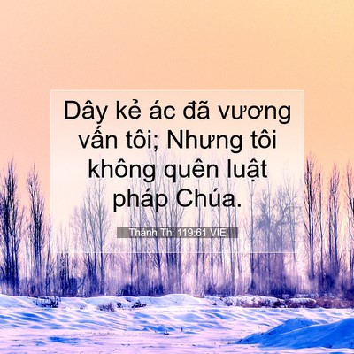 Picture 07 - Thánh Thi 119:61 VIE - Dây kẻ ác đã vương vấn tôi; Nhưng - Bible Verse Picture