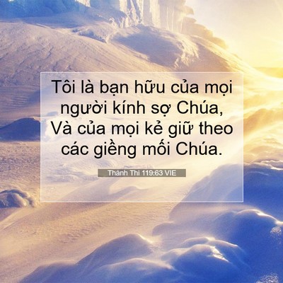 Picture 07 - Thánh Thi 119:63 VIE - Tôi là bạn hữu của mọi người kính - Bible Verse Picture