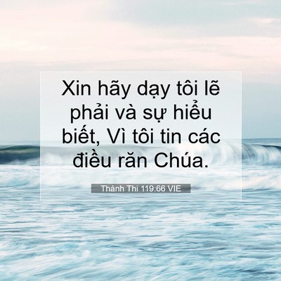 Picture 07 - Thánh Thi 119:66 VIE - Xin hãy dạy tôi lẽ phải và sự hiểu - Bible Verse Picture