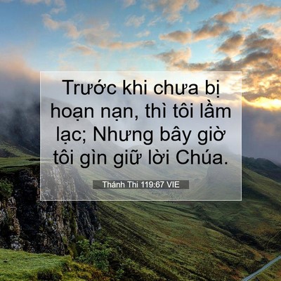 Picture 07 - Thánh Thi 119:67 VIE - Trước khi chưa bị hoạn nạn, thì tôi - Bible Verse Picture